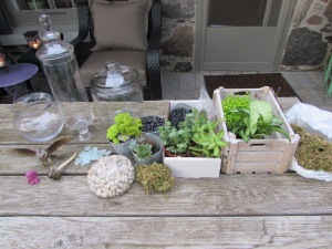 Choose your glass vessel (open-top for succulents), greenery, stones and any accessories. 